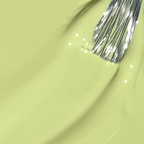OPI-CLEAR YOUR CASH | NLS005