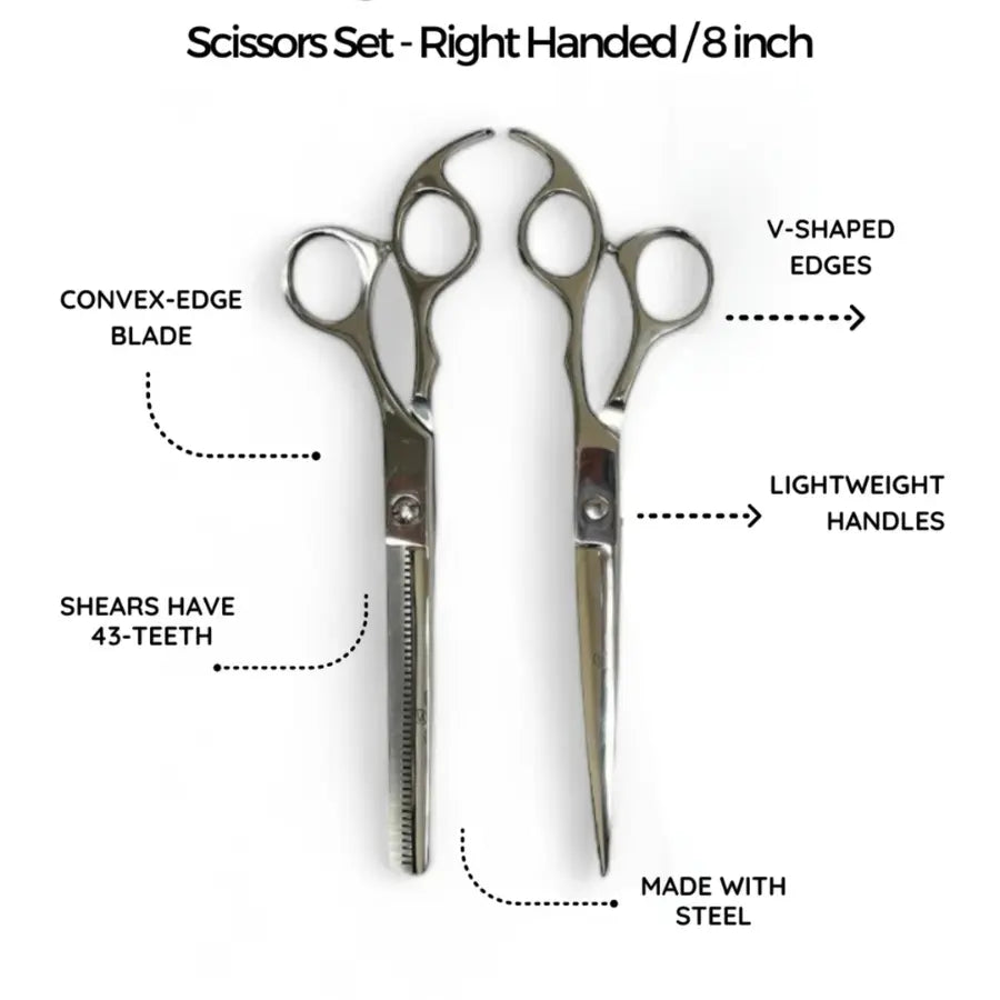 ROLDA SCISSOR & SHEAR SET 8IN SILVER 3