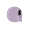 CUCCIO COLOUR-VILLA VIOLETA | CCPL1389-FC